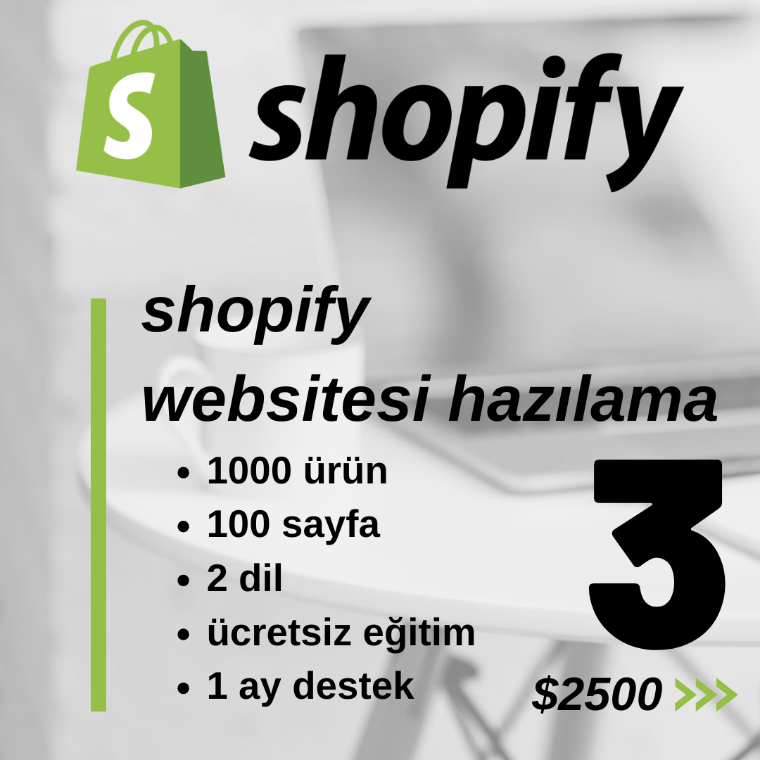 Shopify Websitesi Hazırlama (Paket 3)
