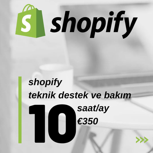 Shopify Teknik Destek ve Bakım (10 saat/ay)