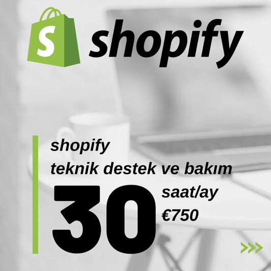 Shopify Teknik Destek ve Bakım (30 saat/ay)