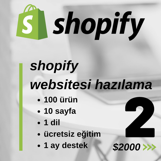 Shopify Websitesi Hazırlama (Paket 2)