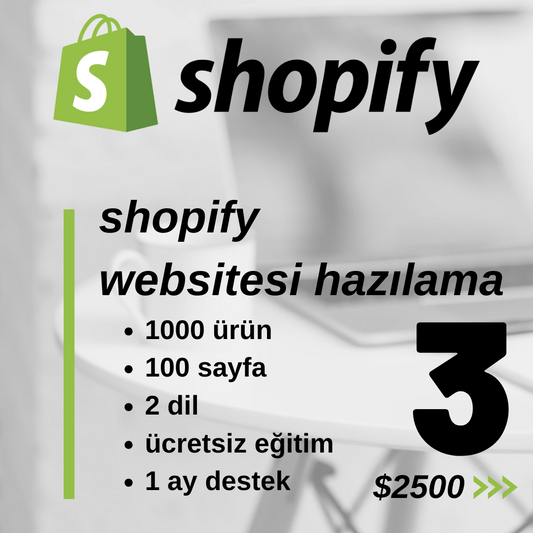 Shopify Websitesi Hazırlama (Paket 3)