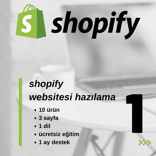 Shopify Websitesi Hazırlama (Paket 1)